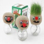 MR GRASSHEAD - Grass Head Doll Plant,Creative ornaments(no glass bottle)