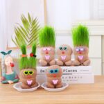 MR GRASSHEAD - Grass Head Doll Plant,Creative ornaments(no glass bottle) - Image 3