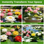 Mixed Bowl Lotus Seeds - Water Lily Flower Plant Seed - Home Garden Plant Seeds Aquatic Fresh Garden Seeds for Home - Image 5
