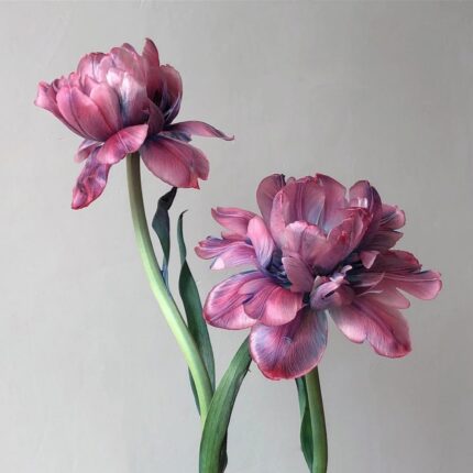 Mauve and dusty pink double tulips